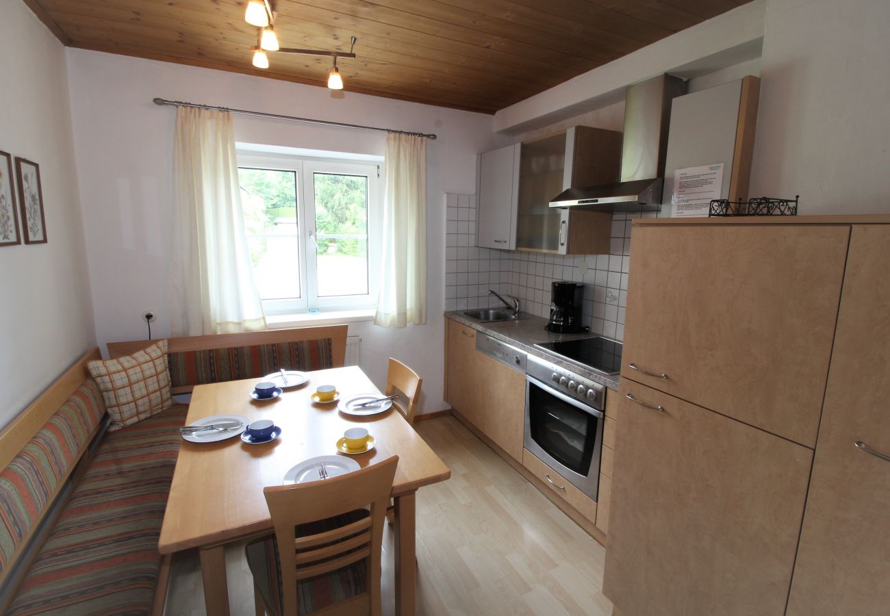 Ferienwohnung in Kitzbühel - Asten