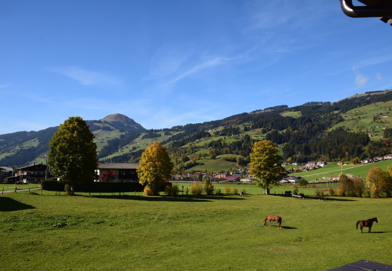 Ferienwohnung in Brixen im Thale - Brandstätter 1