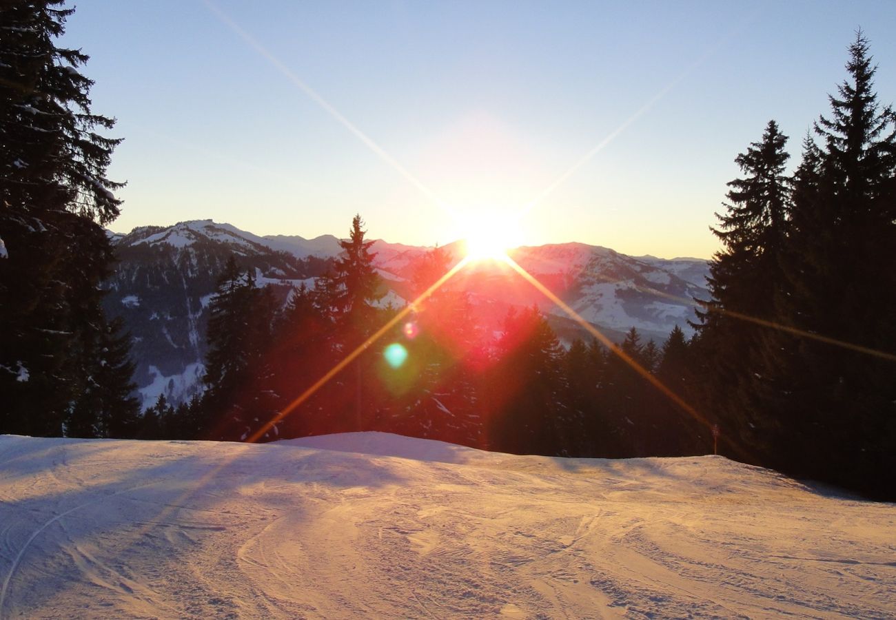 Chalet in Kirchberg in Tirol - Chalet Weinberg Top 2