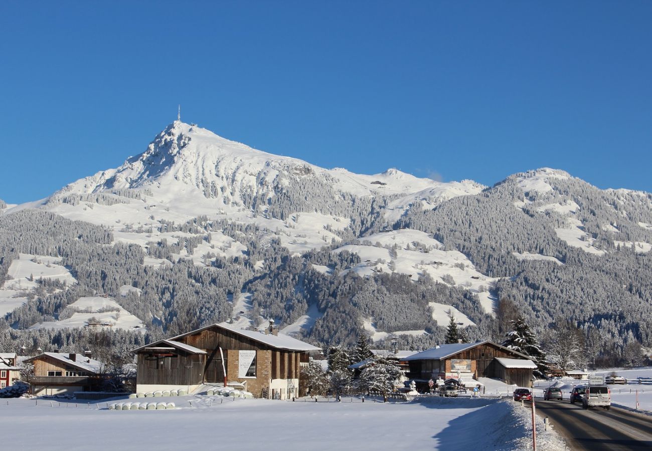 Ferienwohnung in Kirchberg in Tirol - Mountain View