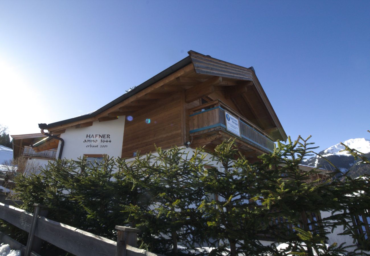 Ferienhaus in Kirchberg in Tirol - Lodge Pengelstein (ski-in/out)