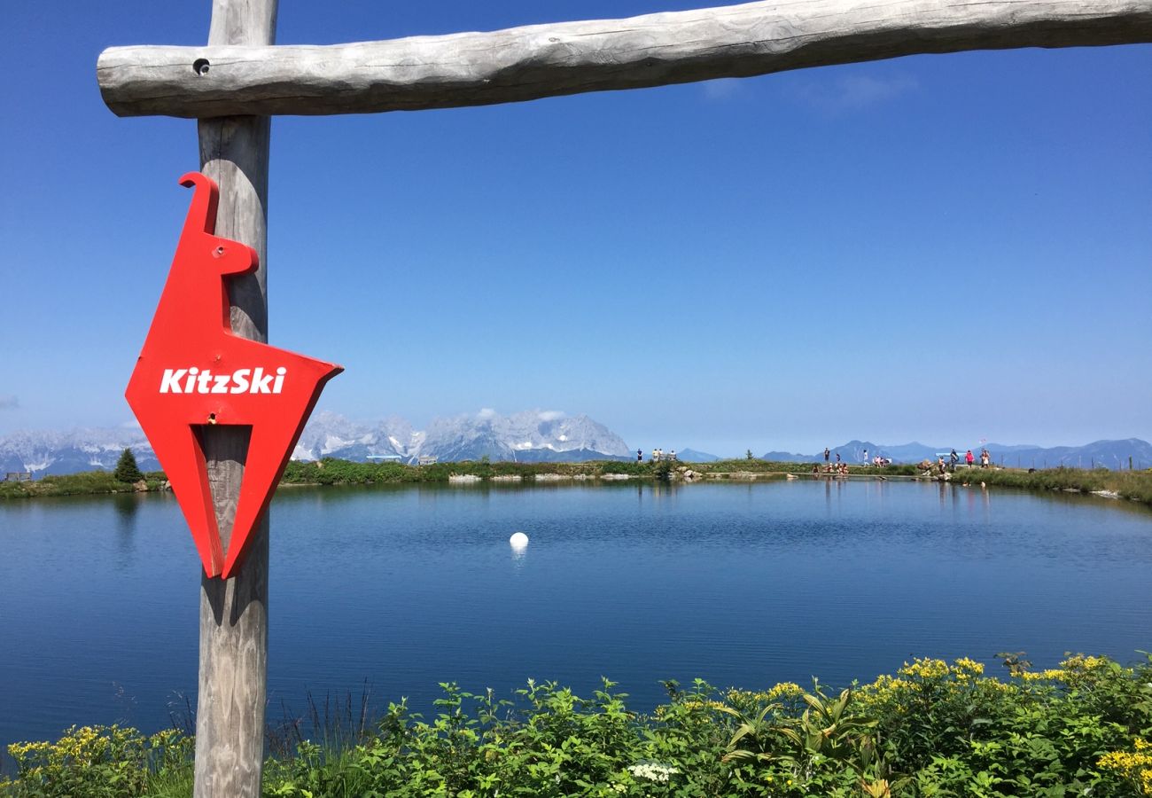 Ferienwohnung in Kirchberg in Tirol - Mountain Dream