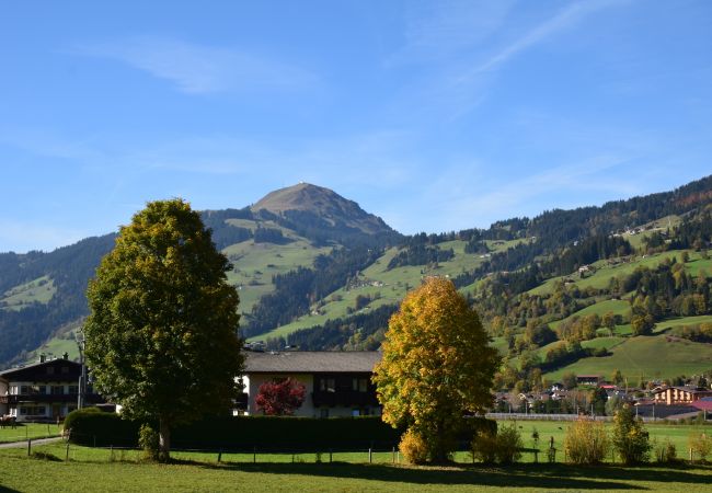 Apartment in Brixen im Thale - Brandstätter 1