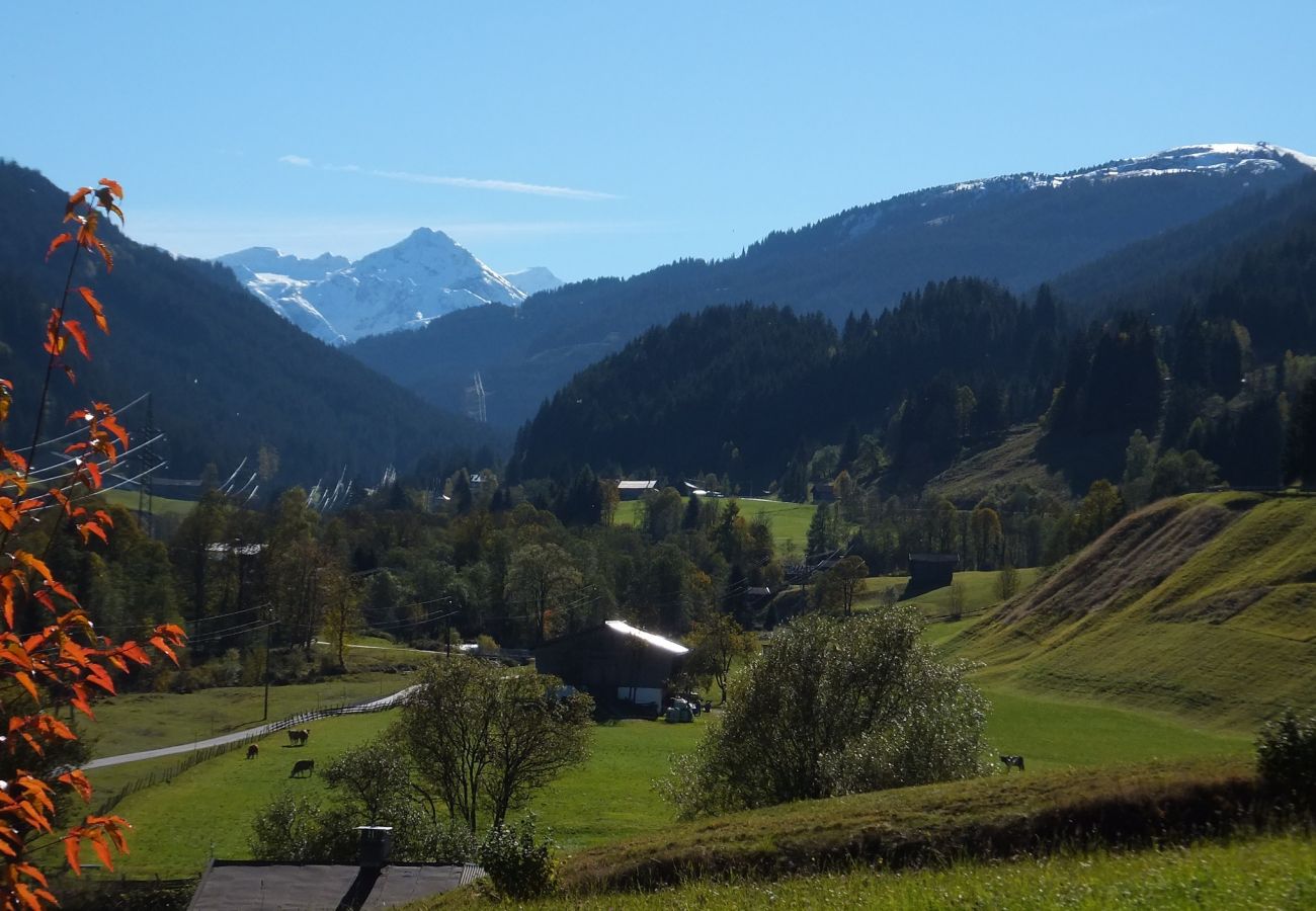 Apartment in Jochberg - Jochberg