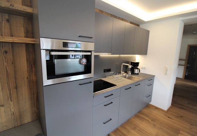 Apartment in Kirchberg in Tirol - Mountain View