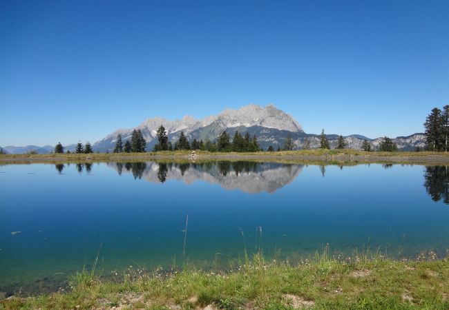 Apartment in Kirchberg in Tirol - Mountain View