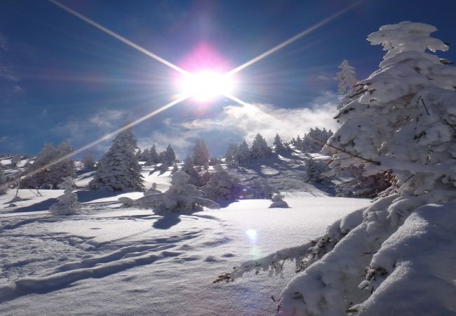Apartment in Kirchberg in Tirol - Mountain Life T12 Apartment in Kirchberg in Tirol - Mountain Life T12