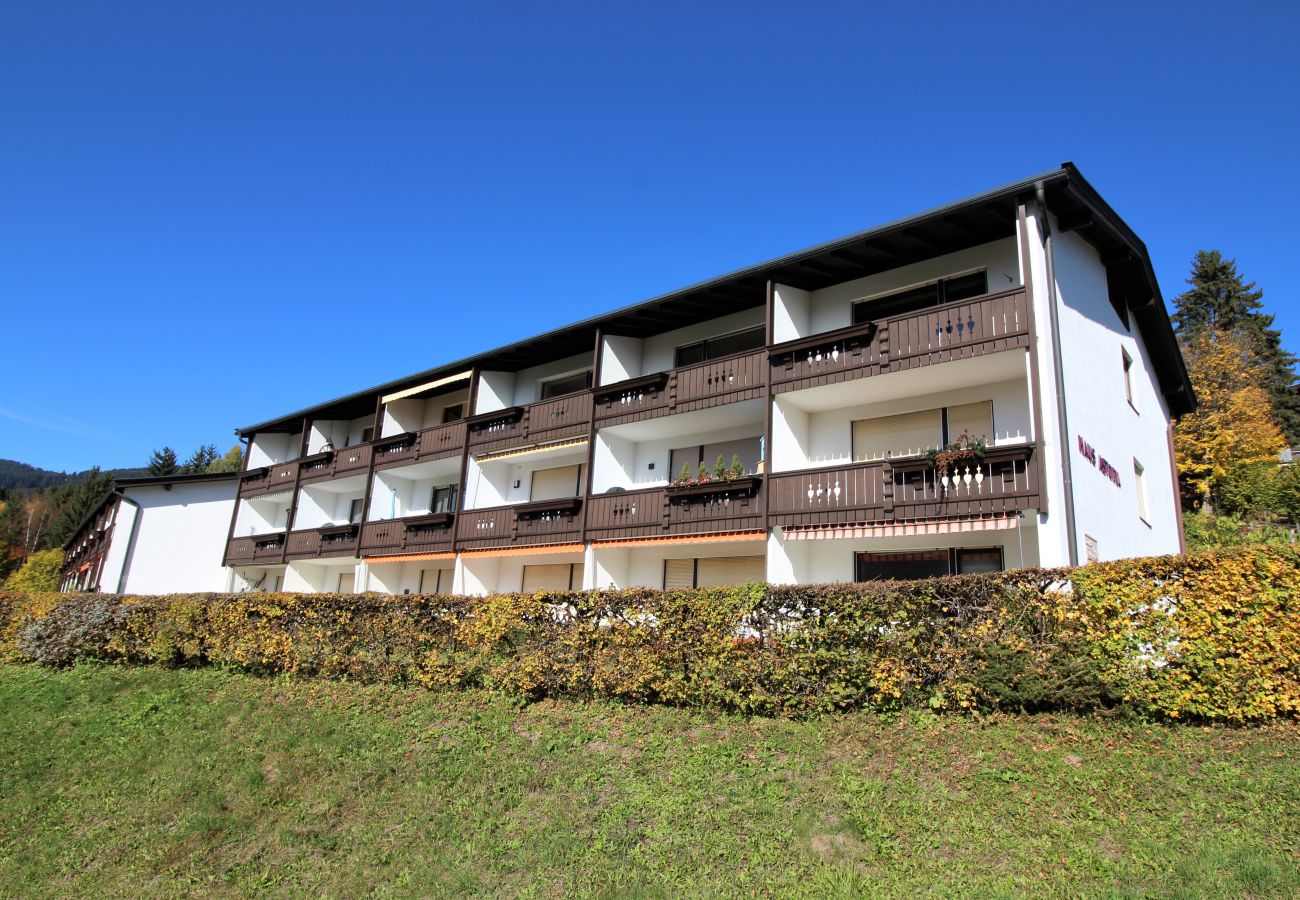 Apartment in Kirchberg in Tirol - Weinberg