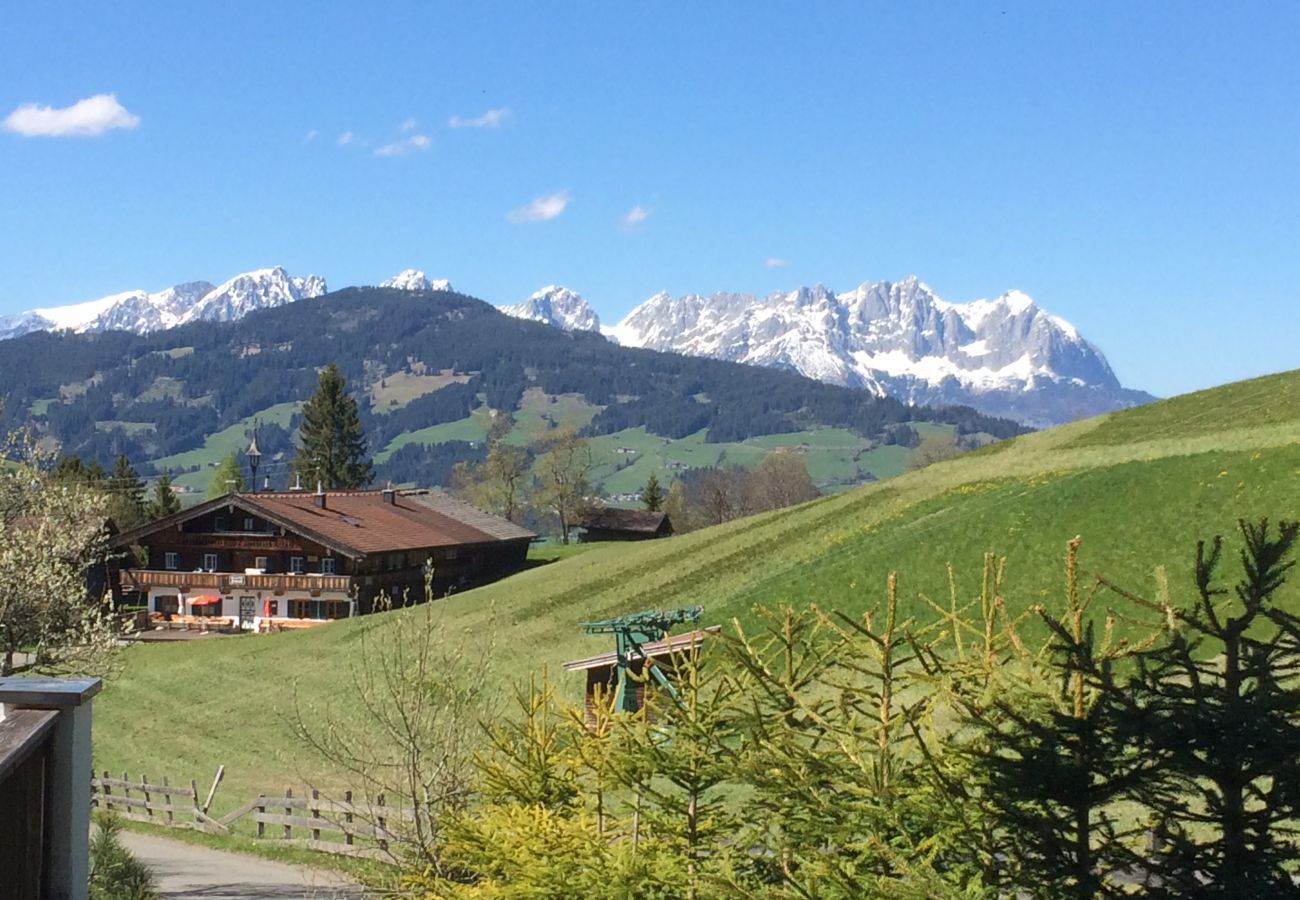 House in Kirchberg in Tirol - Lodge Pengelstein (ski-in/out)