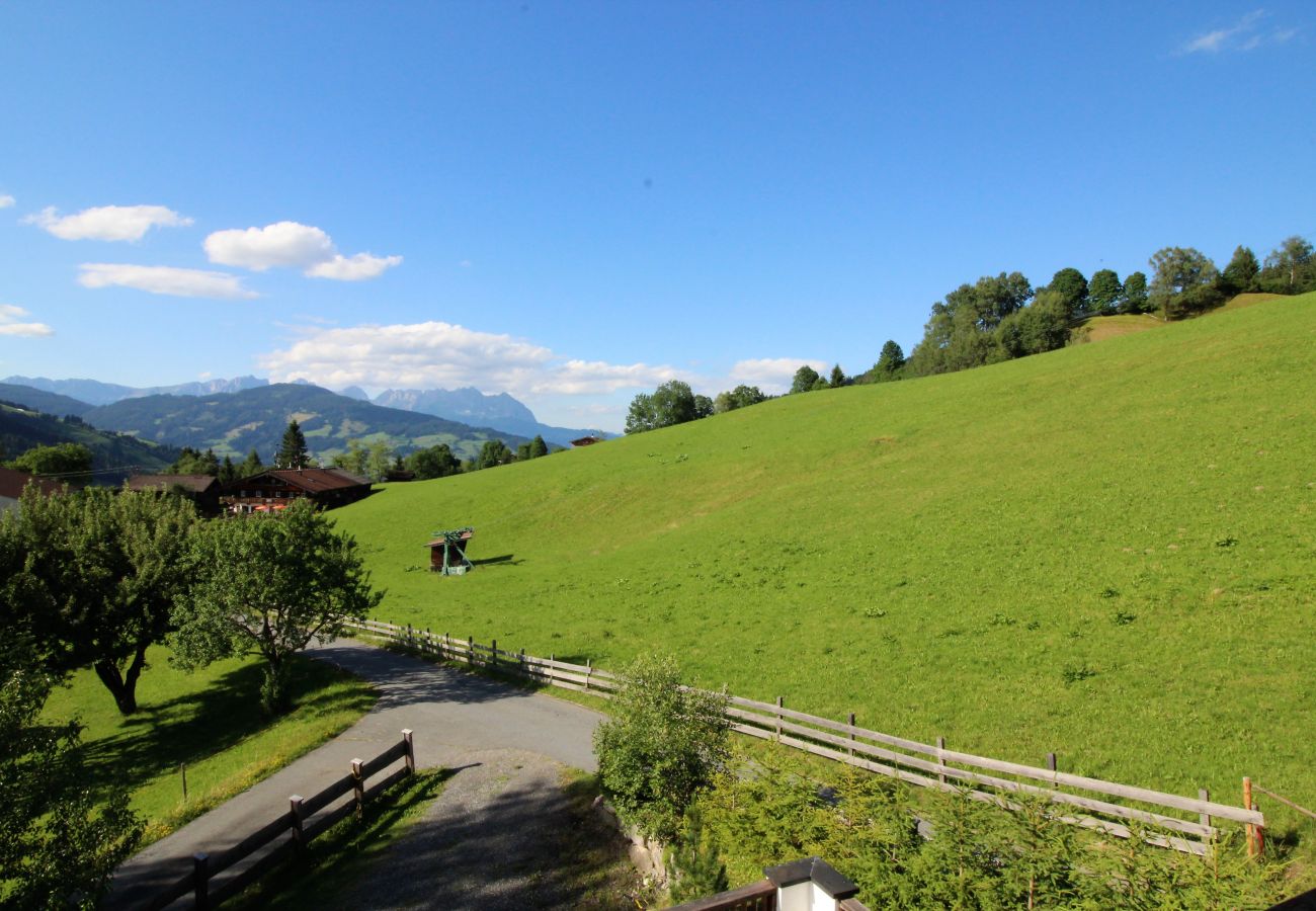 House in Kirchberg in Tirol - Lodge Pengelstein (ski-in/out)