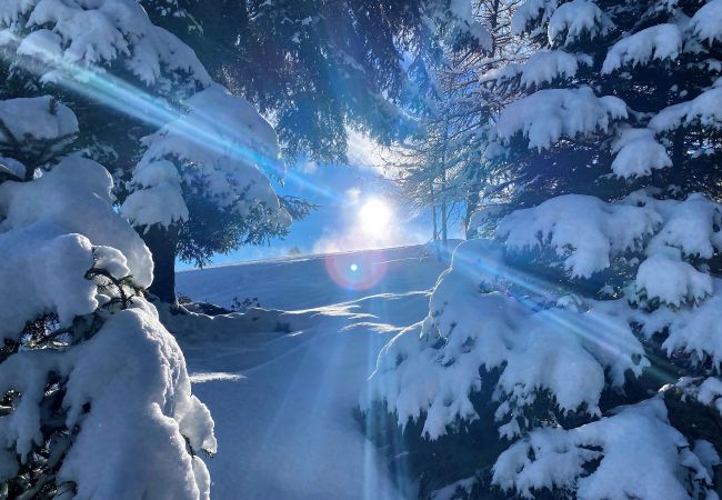 Apartment in Kirchberg in Tirol - Eastside Apartment in Kirchberg in Tirol - Eastside