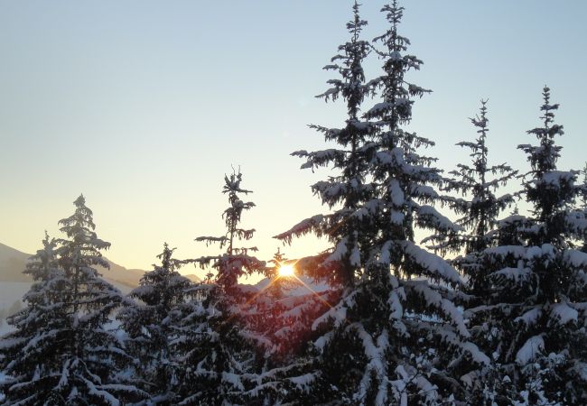 Apartment in Kirchberg in Tirol - Eastside Apartment in Kirchberg in Tirol - Eastside