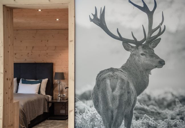 Apartment in Kirchberg in Tirol - Chalet Alpin Jewel T7 Apartment in Kirchberg in Tirol - Chalet Alpin Jewel T7