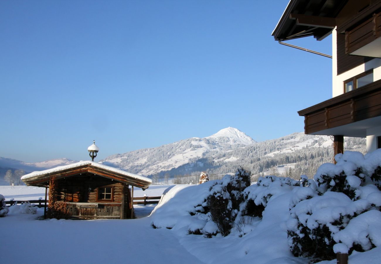 Apartment in Kirchberg in Tirol - Franglhof Gaisberg