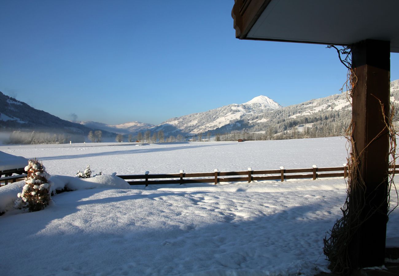 Apartment in Kirchberg in Tirol - Franglhof Gaisberg