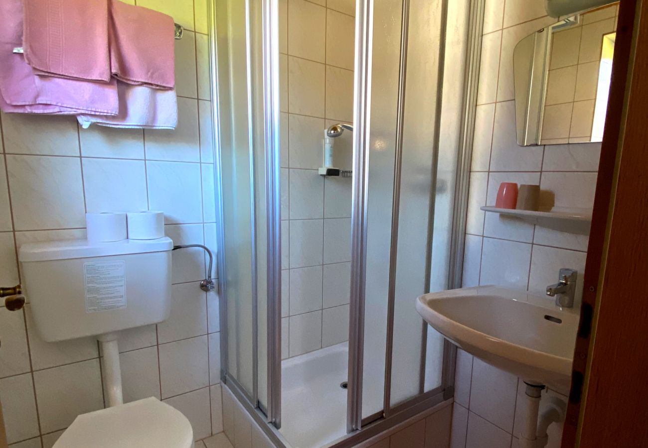 Studio in Kirchberg in Tirol - Franglhof Fleckalm