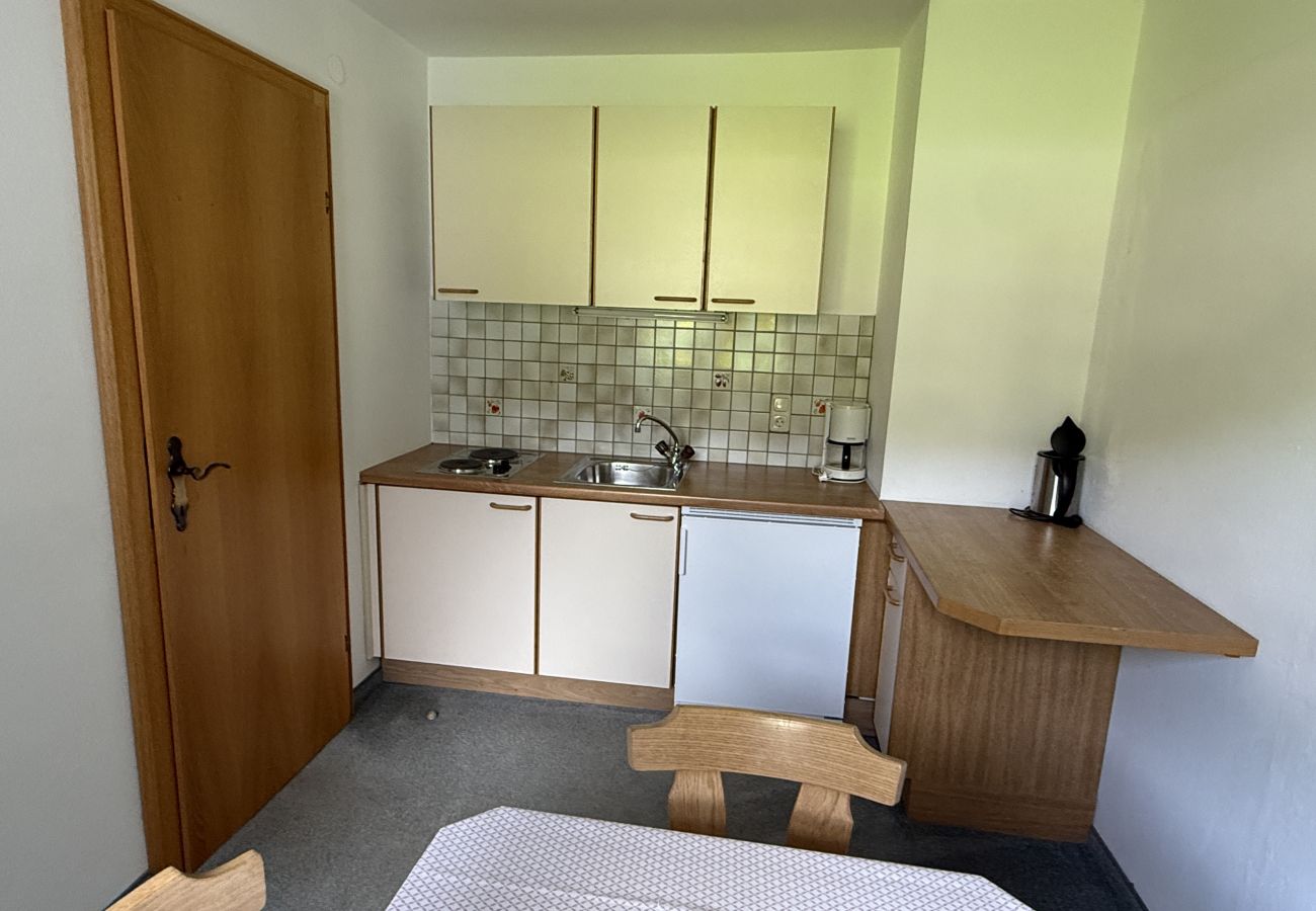 Studio in Kirchberg in Tirol - Franglhof Fleckalm