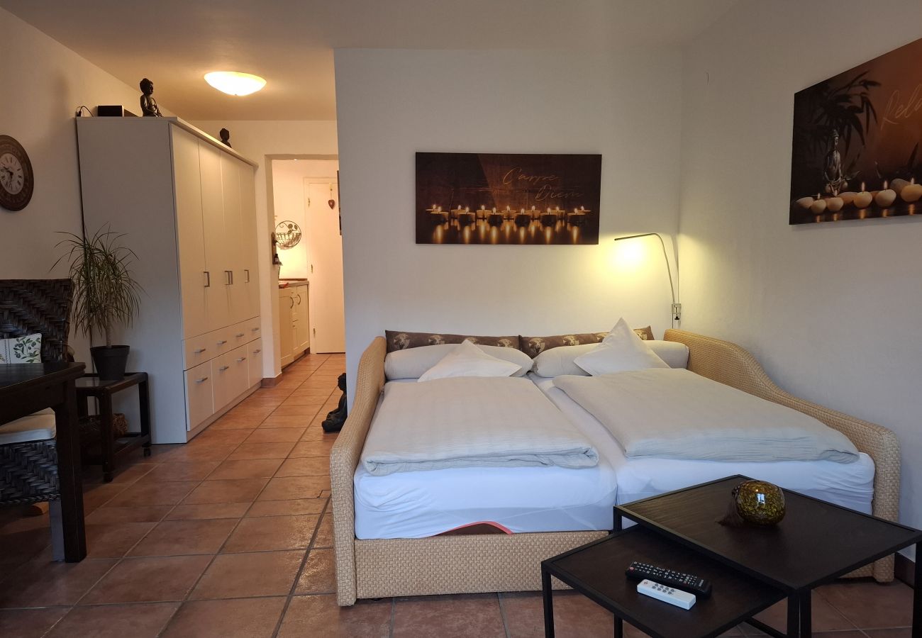 Studio in Kirchberg in Tirol - Bergblick with sauna