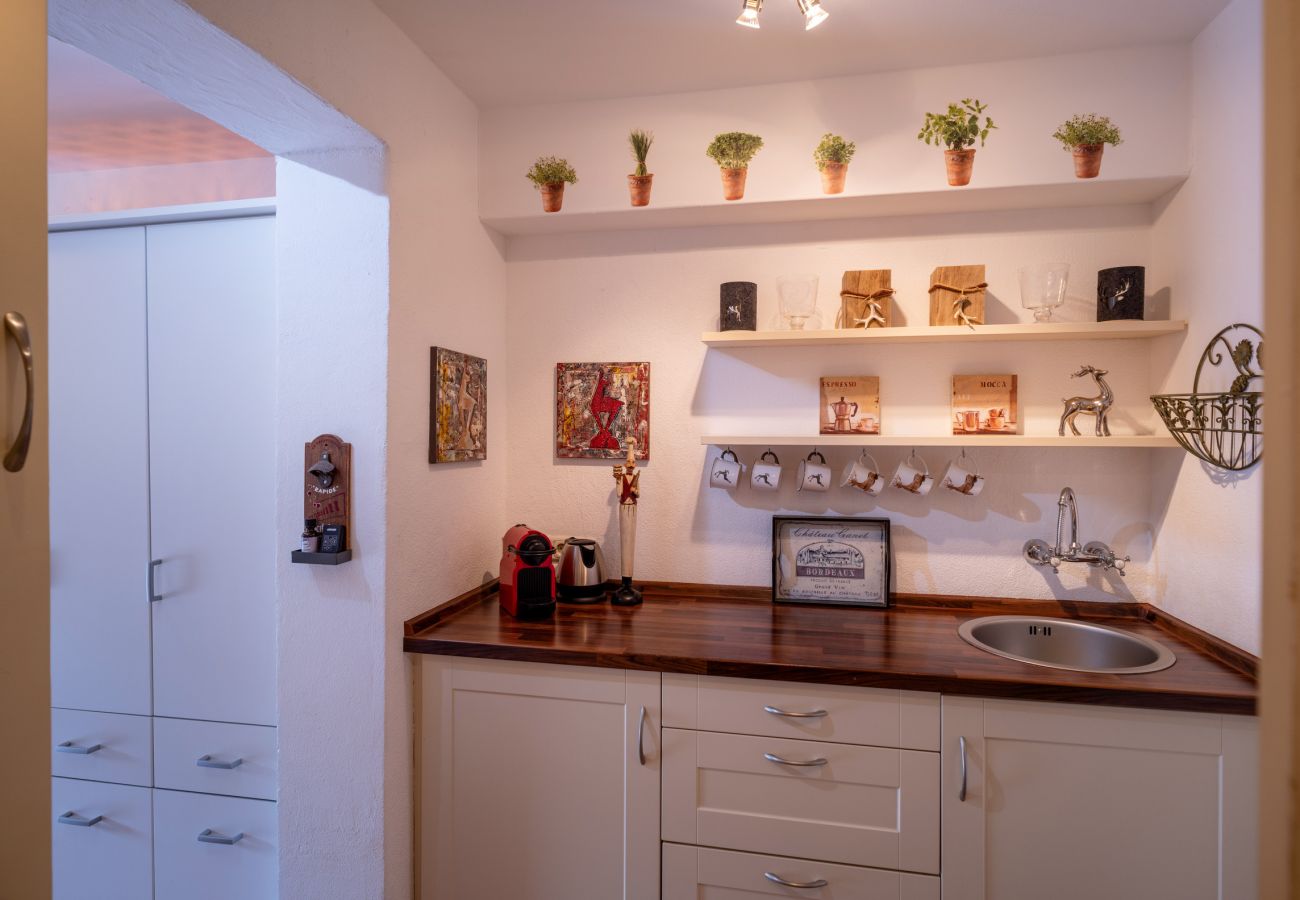 Studio in Kirchberg in Tirol - Bergblick with private sauna