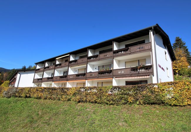 Appartement in Kirchberg in Tirol - Weinberg