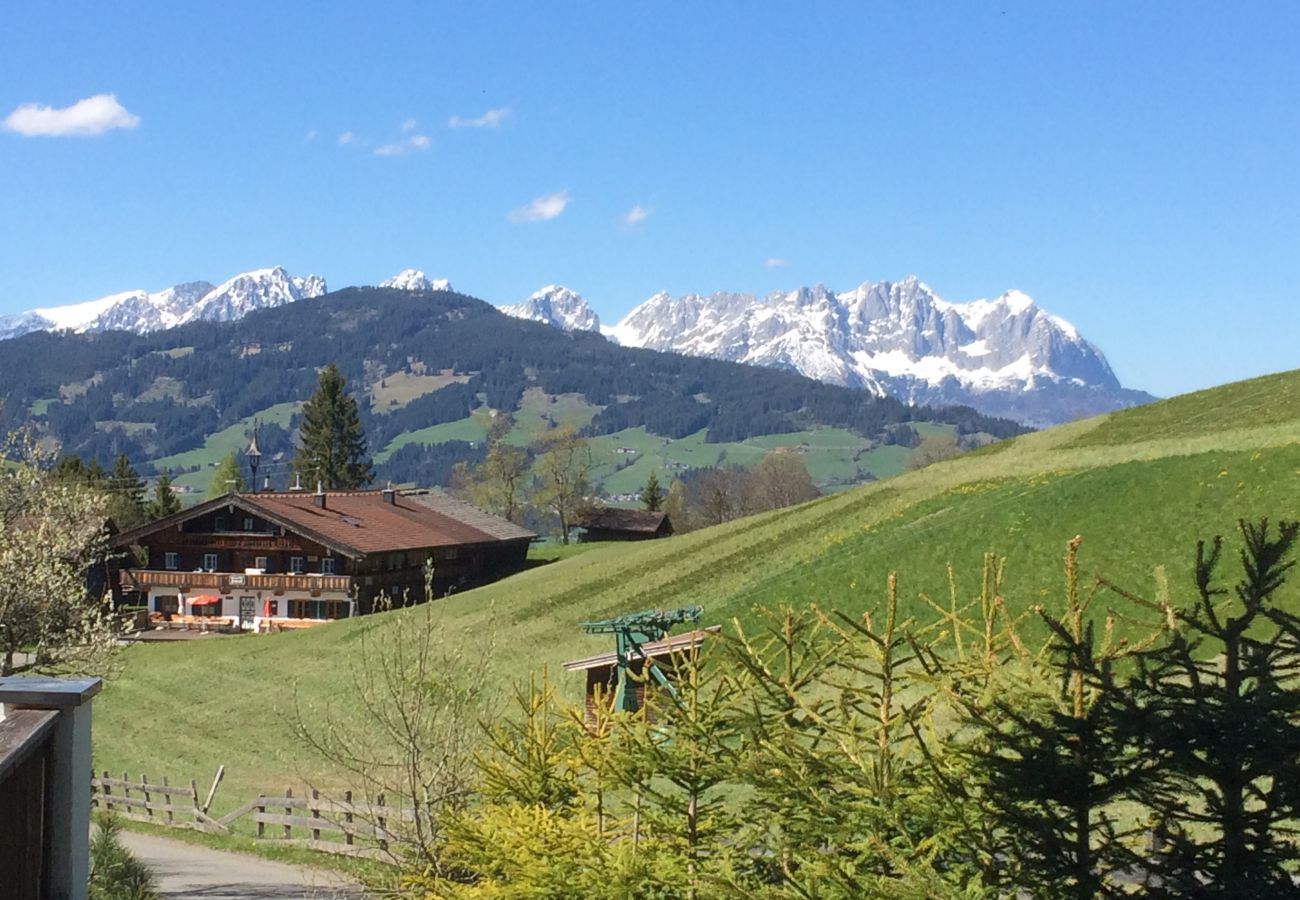 Huis in Kirchberg in Tirol - Lodge Pengelstein (ski-in/out)