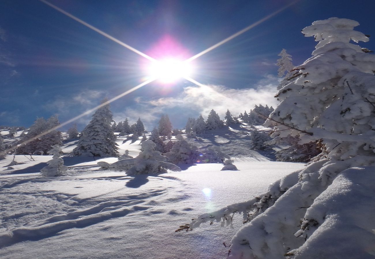 Huis in Kirchberg in Tirol - Lodge Pengelstein (ski-in/out)