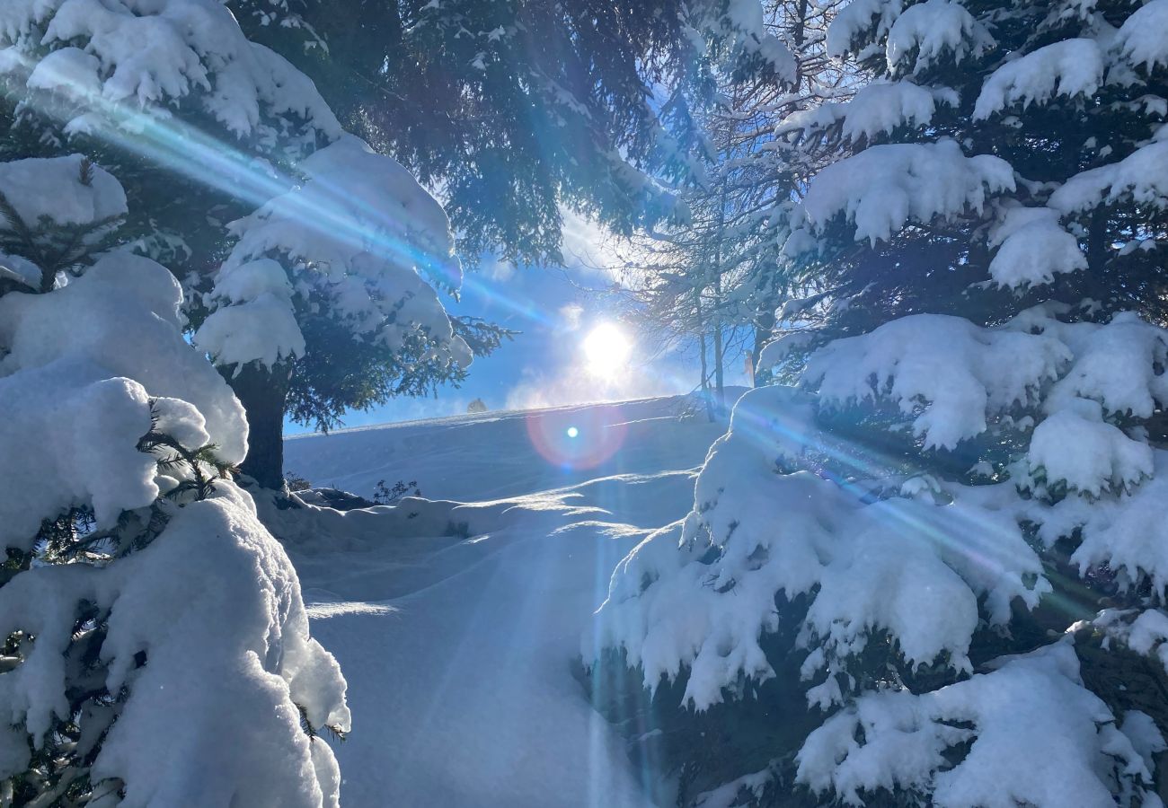 Studio in Kirchberg in Tirol - Franglhof Hohe Salve Studio in Kirchberg in Tirol - Franglhof Hohe Salve