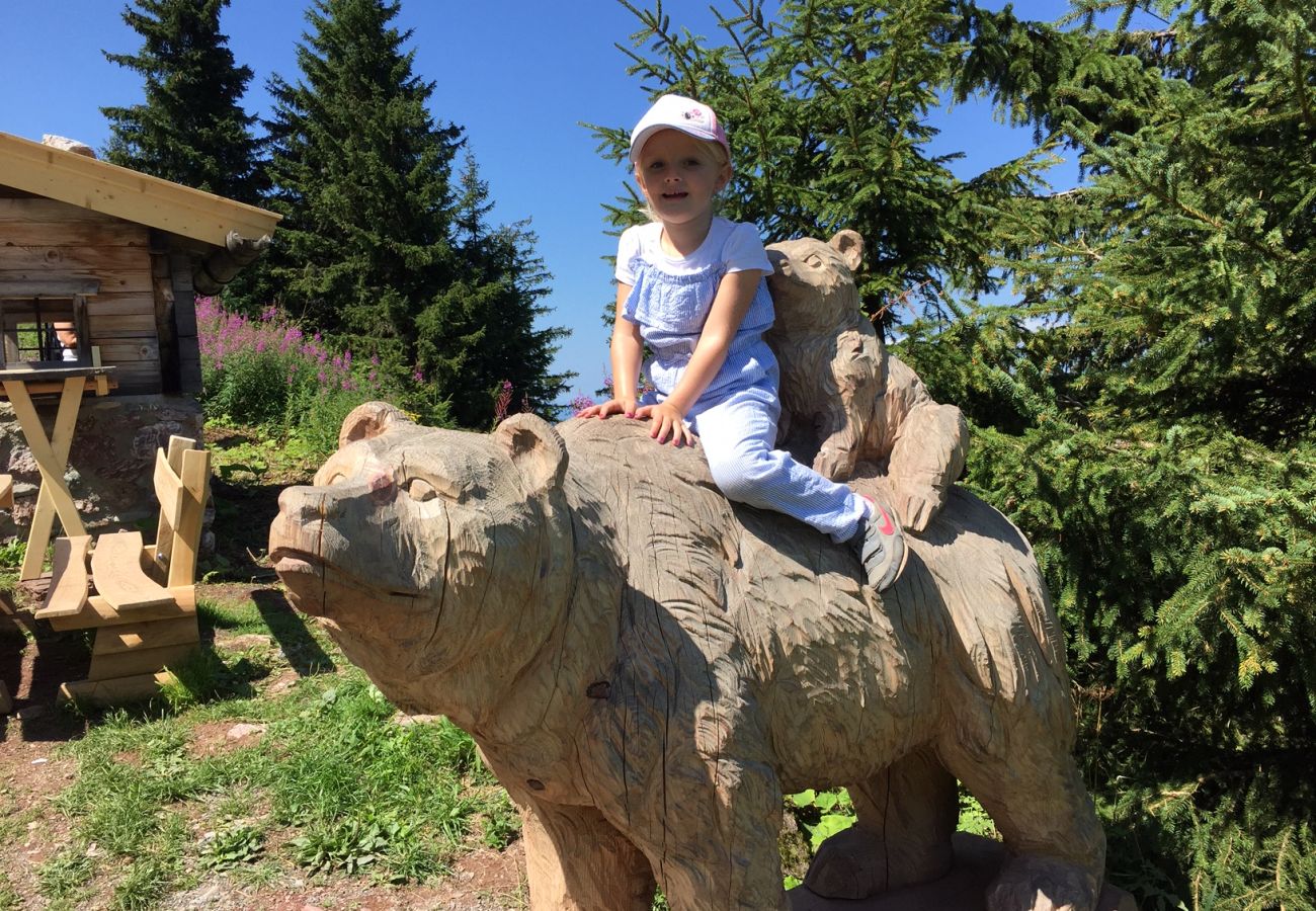 Studio in Kirchberg in Tirol - Franglhof Hohe Salve Studio in Kirchberg in Tirol - Franglhof Hohe Salve