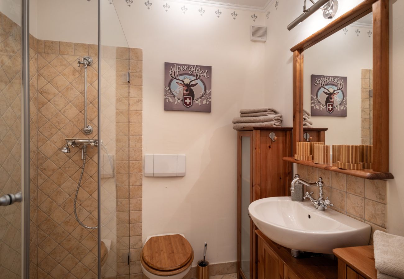 Studio in Kirchberg in Tirol - Bergblick with private sauna