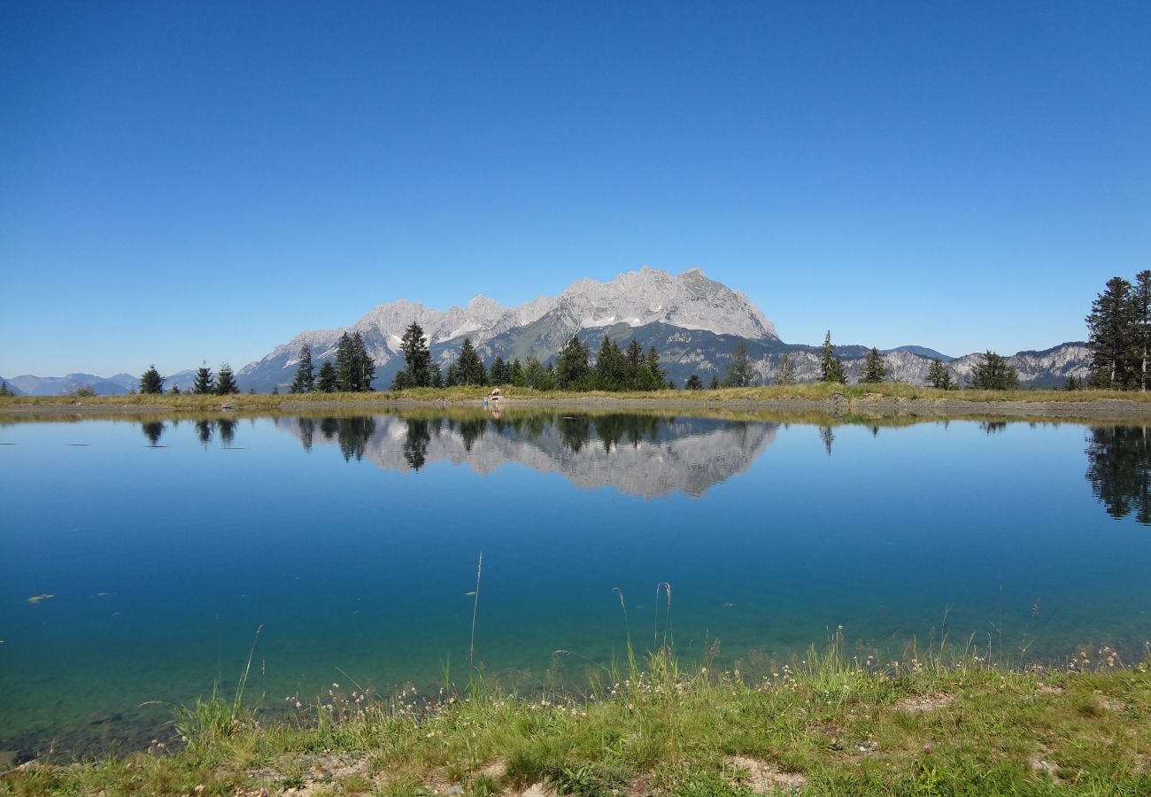 Studio in Kirchberg in Tirol - Bergblick with private sauna