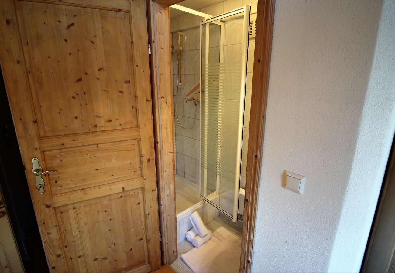 Apartment in Kirchberg in Tirol - Hoch König