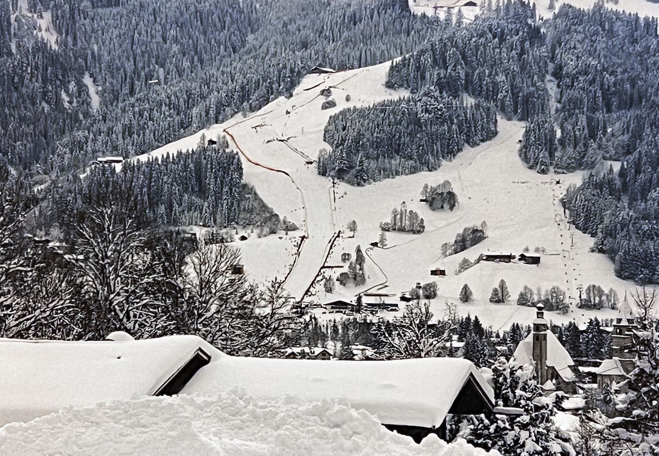 House in Kitzbühel - Chalet Horn