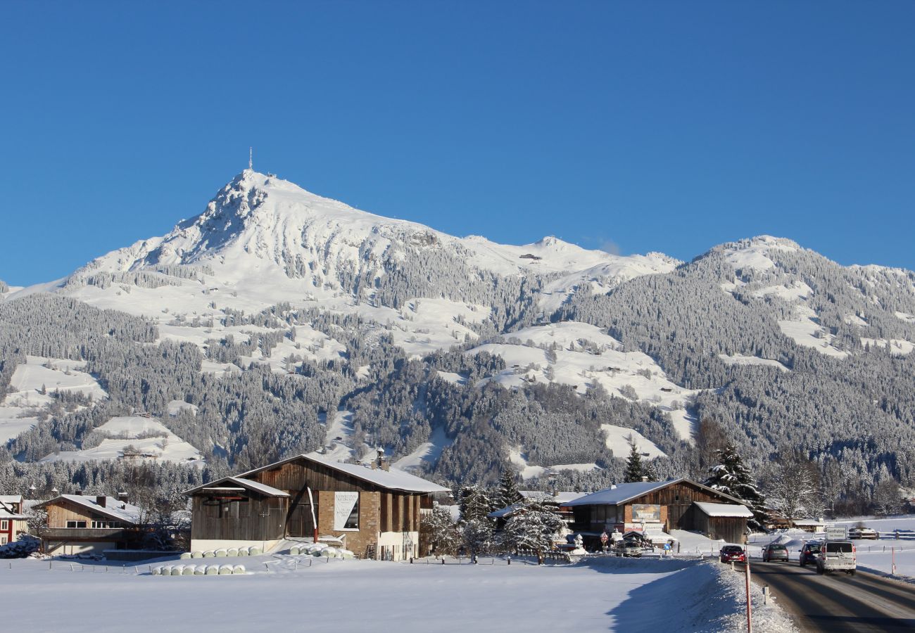 Apartment in Kirchberg in Tirol - Chalet Diamond T13