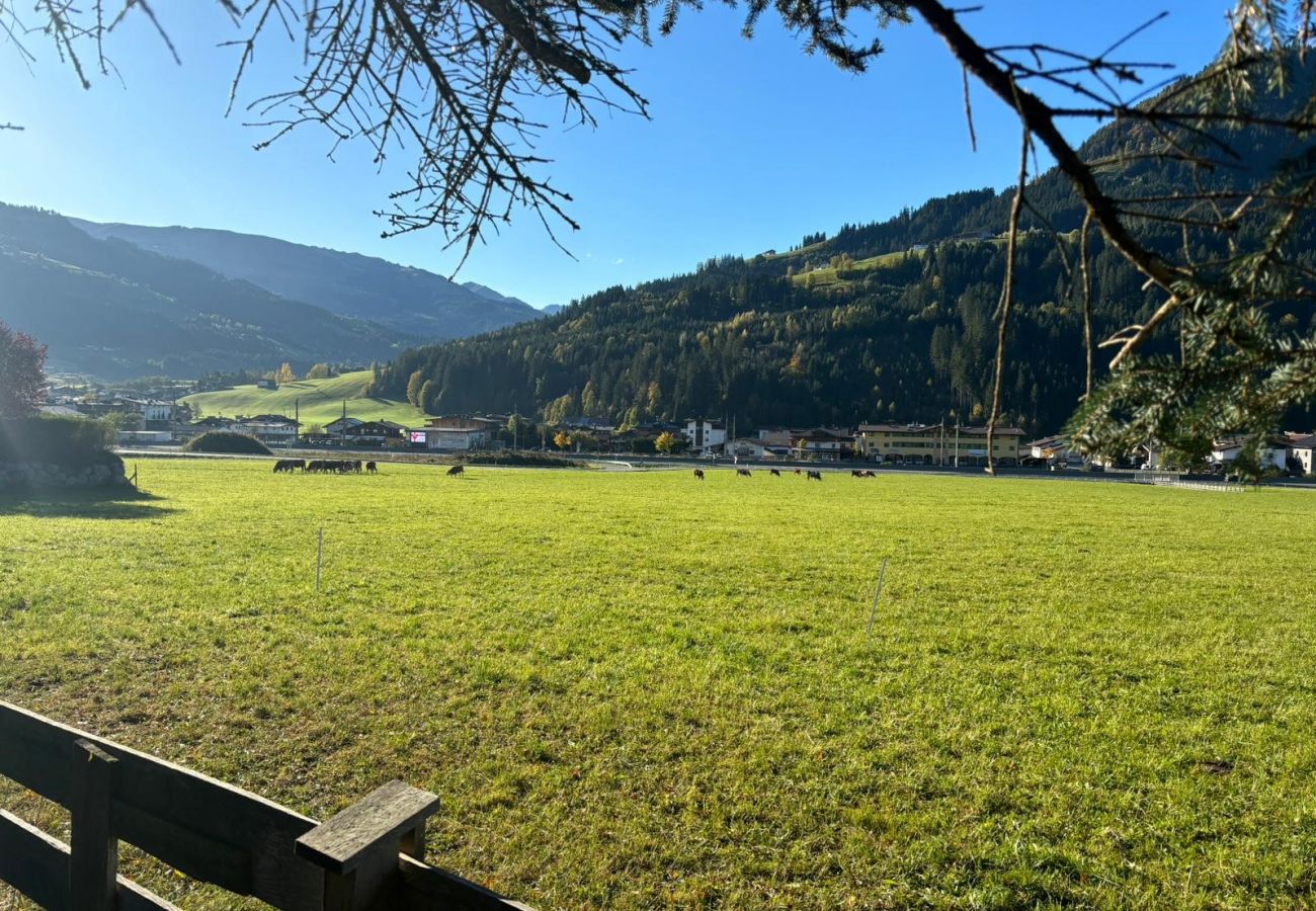 Apartment in Kirchberg in Tirol - Christine