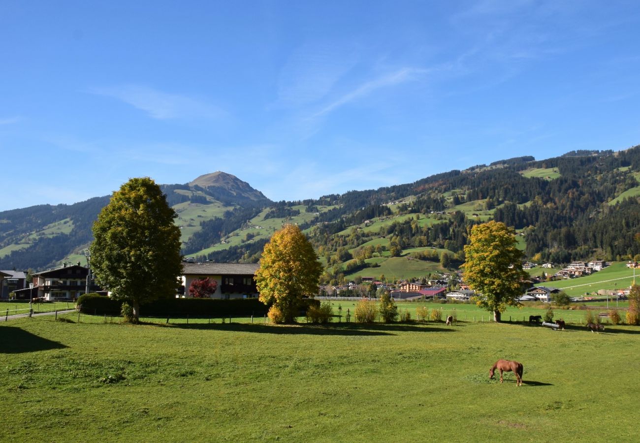 Ferienwohnung in Brixen im Thale - Brandstätter 1