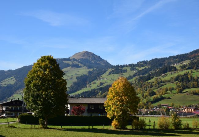 Ferienwohnung in Brixen im Thale - Brandstätter 2 Ferienwohnung in Brixen im Thale - Brandstätter 2