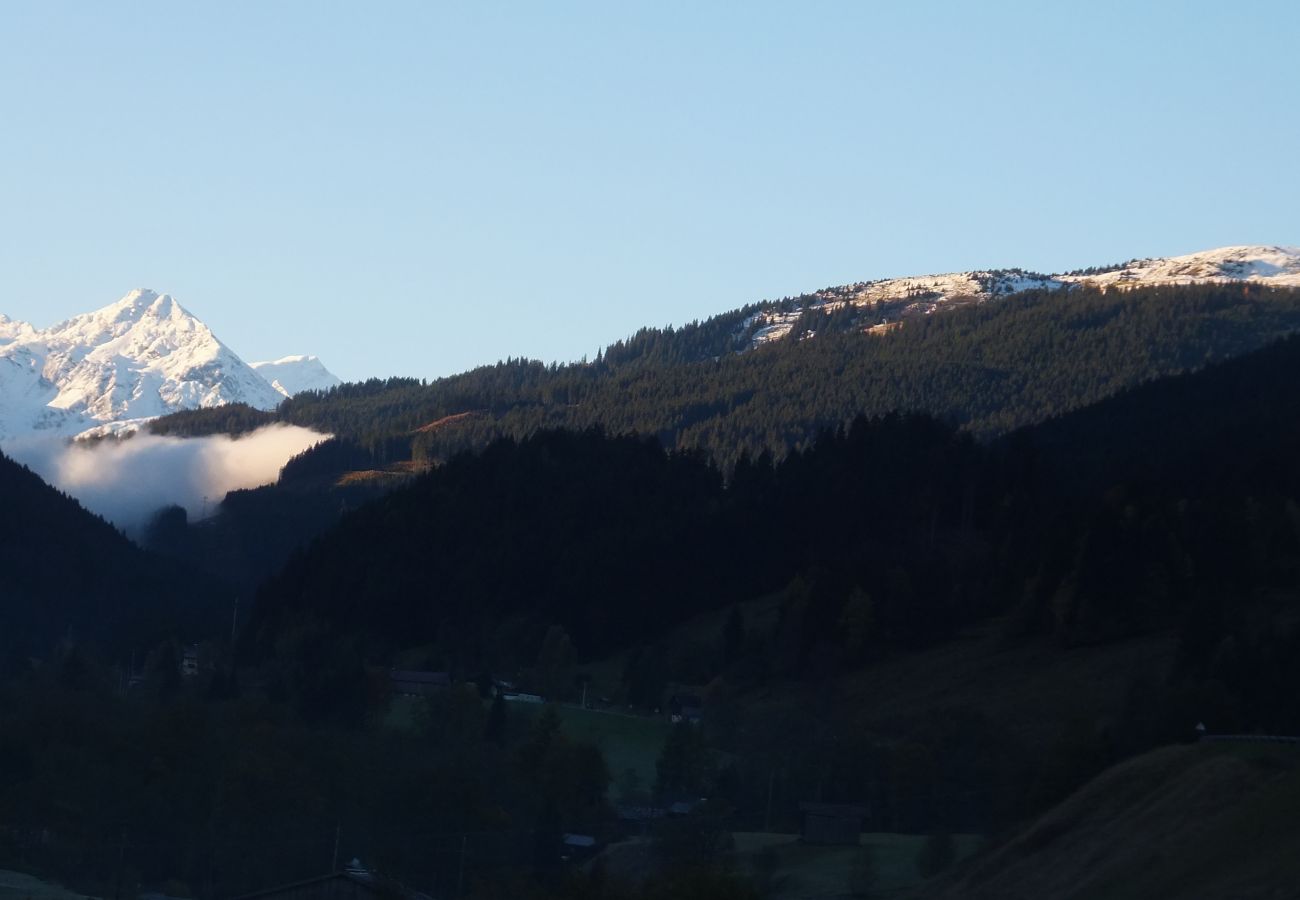 Ferienwohnung in Jochberg - Jochberg