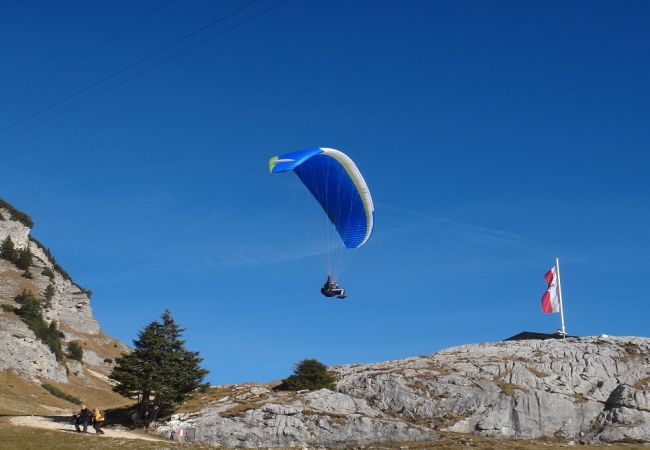 Ferienwohnung in Kirchberg in Tirol - Mountain View