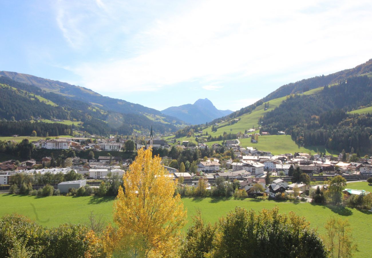 Ferienwohnung in Kirchberg in Tirol - Weinberg