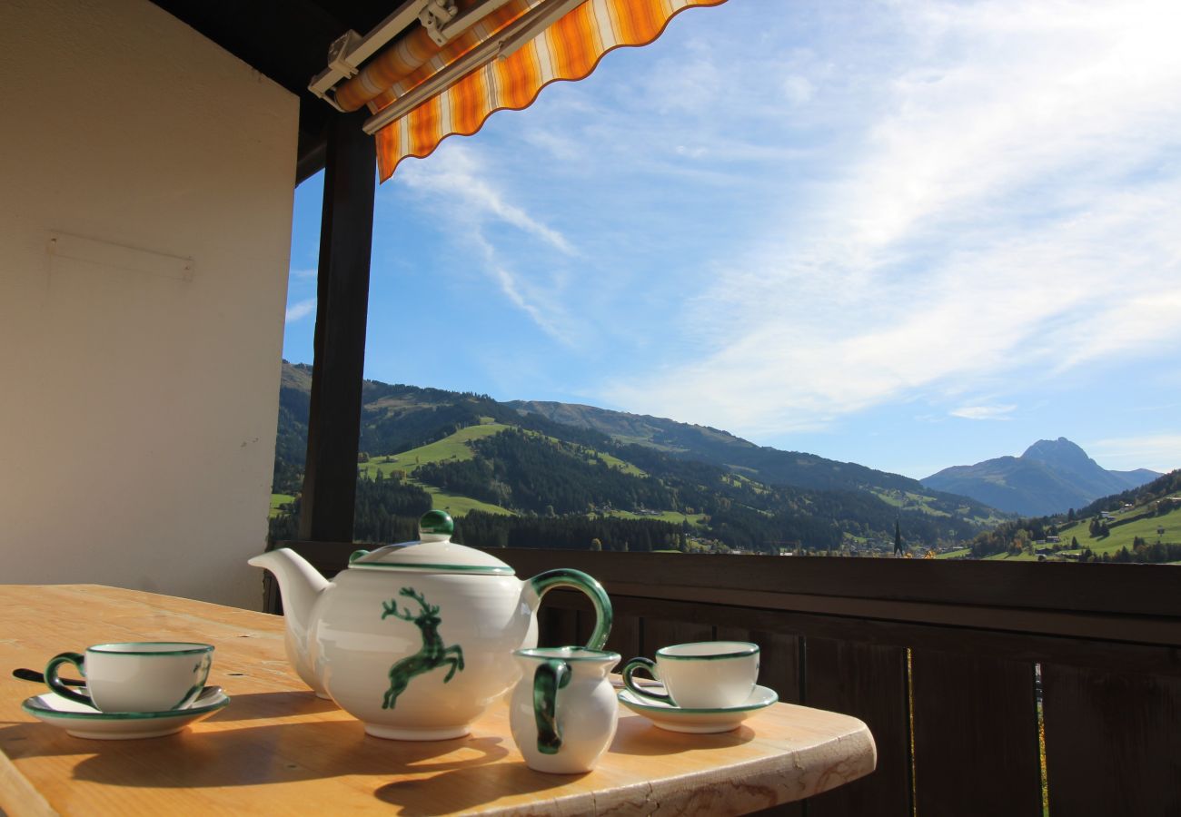 Ferienwohnung in Kirchberg in Tirol - Weinberg