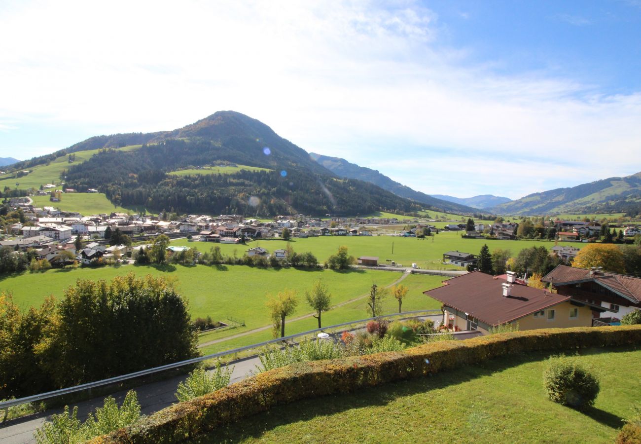 Ferienwohnung in Kirchberg in Tirol - Weinberg