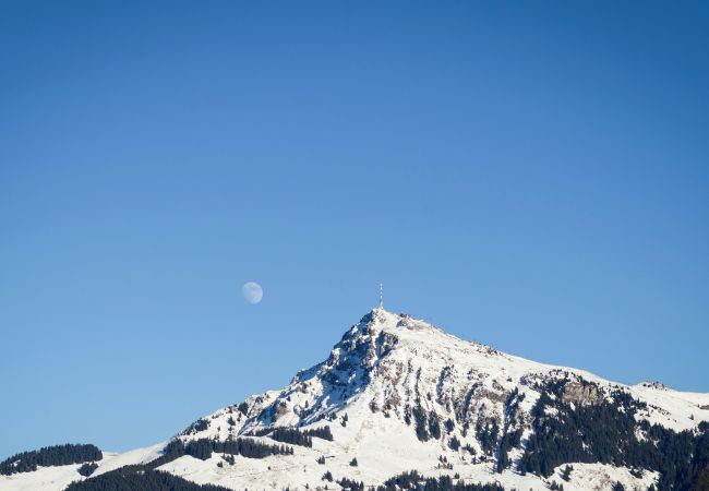 Ferienwohnung in Kirchberg in Tirol - Ski-in / Ski-out