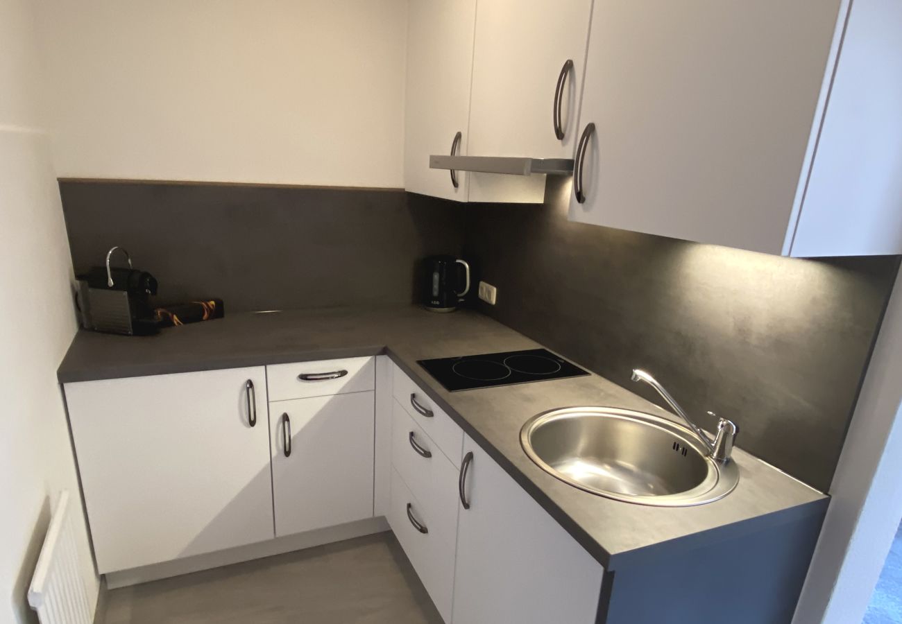 Ferienwohnung in Kirchberg in Tirol - Franglhof Gaisberg