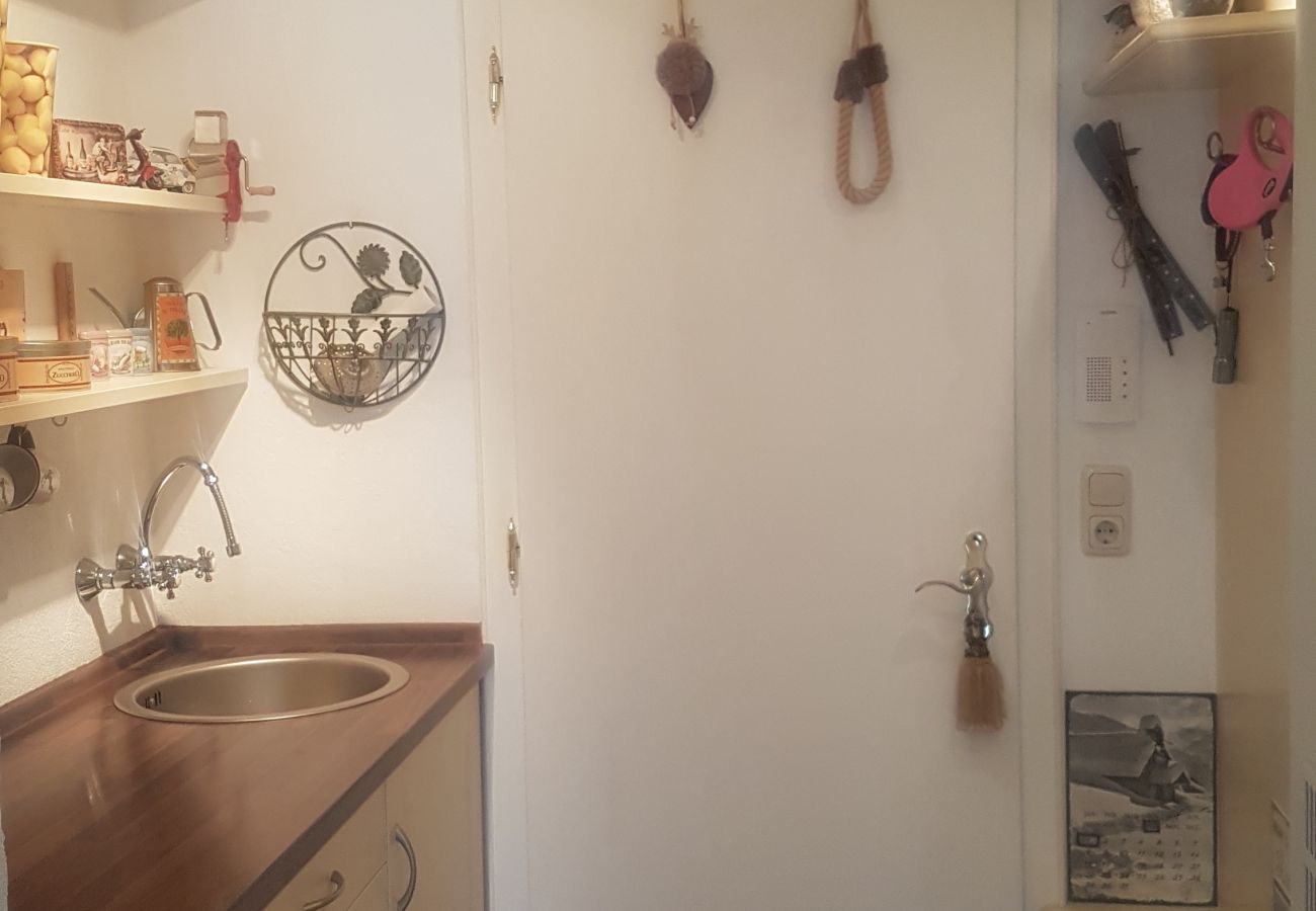 Studio in Kirchberg in Tirol - Bergblick with sauna
